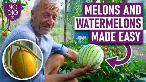 mellons tube|New videos .